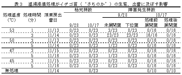 表3 温湯浸漬処理がイチゴ苗(‘さちのか’)の生育、出蕾に及ぼす影響