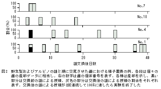 図2 野生型およびアルビノの雄と順に交尾させた雌における精子置換の例.