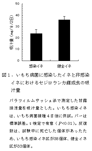 図1.いもち病菌に感染したイネと非感染イネにおけるセジロウンカ雌成虫の吸汁量