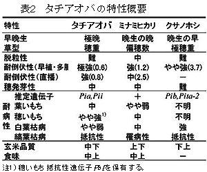 表2 「西海飼253号」の特性概要