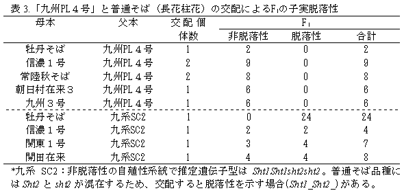 表3. 「九州PL4号」と普通そば(長花柱花)の交配によるF1の子実脱落性