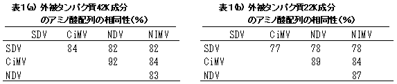 表1(a) 外被タンパク質42K成分のアミノ酸配列の相同性(%)