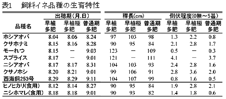 表1 飼料イネ品種の生育特性