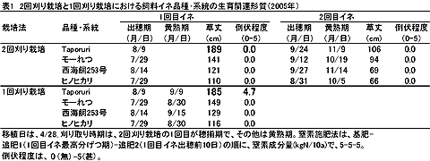 表1 2回刈りと1回刈り栽培における飼料イネ品種・系統の生育関連形質