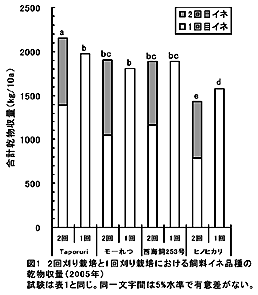 図1 2回刈り栽培と1回刈り栽培における飼料イネ品種の乾物収量