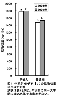 図1 作期が西海飼253号の乾物収量に及ぼす影響