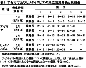 表1 アゼガヤ及びヒメタイヌビエの葉位別葉身長と葉鞘長