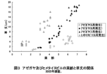 図3 アゼガヤ及びヒメタイヌビエの葉齢と草丈の関係