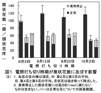 図1 電照打ち切り時期が筒状花数に及ぼす影響