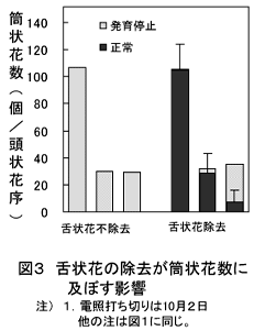 図3 舌状花の除去が筒状花数に及ぼす影響