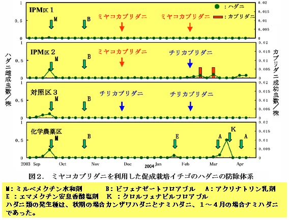 図2 ミヤコカブリダニを利用した促成栽培イチゴのハダニの防除体系