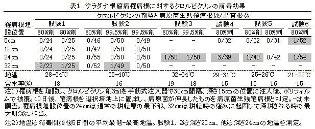 表1 土壌中のサラダナ根腐病菌に対するクロルピクリンの消毒効果