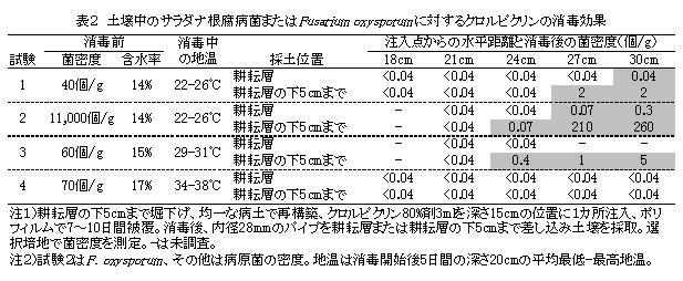 サラダナ根腐病罹病根に対するクロルピクリンの消毒効果