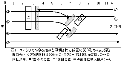 図1 消毒後の罹病根から選択培地上に生育した病原菌(矢印)