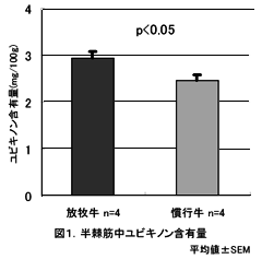 図1 半棘筋中ユビキノン含有量