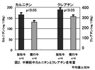 図2 半棘筋中カルニチンとクレアチン含有量