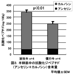 図3 半棘筋中の抗酸化ジペプチド(アンセリン+カルノシン)含有量