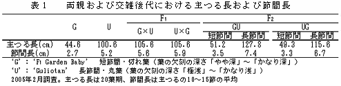 表1  両親および交雑後代における主つる長および節間長