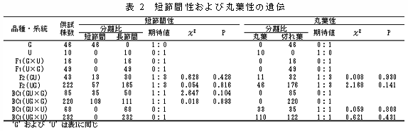 表2 短節間性および丸葉性の遺伝