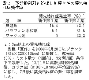 表2 蒸散抑制剤を処理した葉ネギの葉先枯れ症発生率