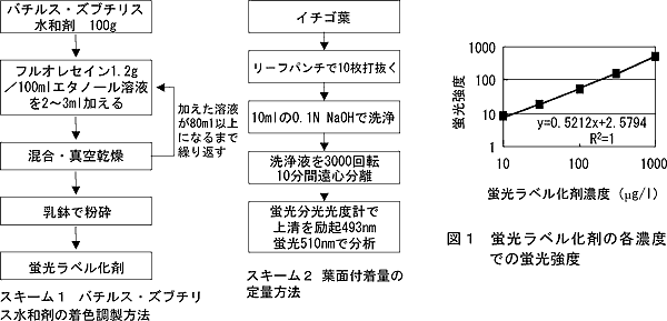 図1 蛍光ラベル化剤の各濃度での蛍光強度