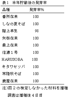 表1  半年貯蔵後の発芽率