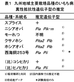 表1 九州地域主要栽培品種のいもち病真性抵抗遺伝子の推定