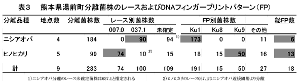 表3 熊本県湯前町分離菌株のレースおよびDNAフィンガープリントパターン(FP)