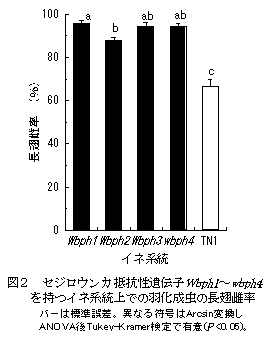 図2 セジロウンカ抵抗性遺伝子Wbph1~wbph4を持つイネ系統上での羽化成虫の長翅雌率バーは標準誤差。