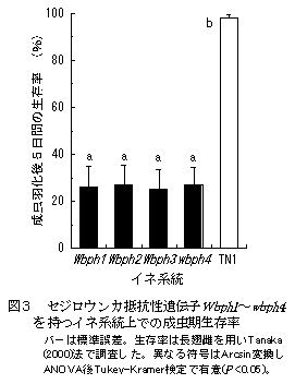 図3  セジロウンカ抵抗性遺伝子Wbph1～wbph4を持つイネ系統上での成虫期生存率