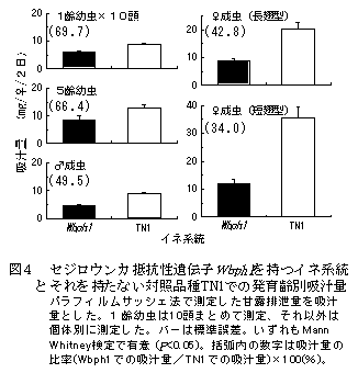 図4 セジロウンカ抵抗性遺伝子Wbph1を持つイネ系統 とそれを持たない対照品種TN1での発育齢別吸汁量パラフィルムサッシェ法で測定した甘露排泄量を吸汁量とした。