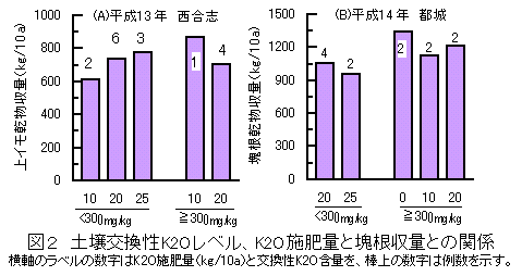 図2 土壌交換性K2Oレベル、K2O施肥量と塊根収量との関係