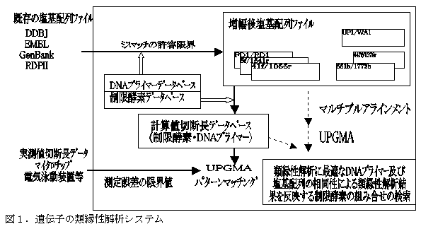 図1.遺伝子の類縁性解析システム