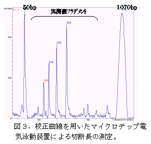 図3.校正曲線を用いたマイクロチップ電気泳動装置による切断長の測定。