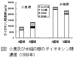 図2 小麦及び水稲の根のダイオキシン類濃度