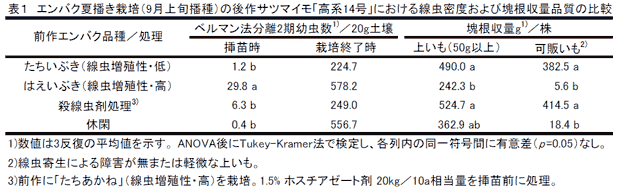 表1 エンバク夏播き栽培(9月上旬播種)の後作サツマイモ「高系14号」における線虫密度および塊根収量品質の比較