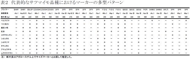表2 代表的なサツマイモ品種におけるマーカーの多型パターン