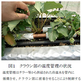 図1 クラウン部の温度管理の状況