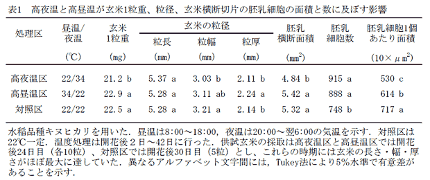 表1 高夜温と高昼温が玄米1粒重、粒径、玄米横断切片の胚乳細胞の面積と数に及ぼす影響