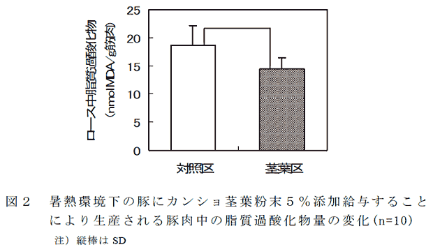 図2 暑熱環境下の豚にカンショ茎葉粉末5 % 添加給与すること