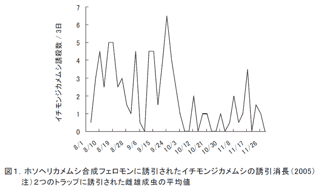 図1.ホソヘリカメムシ合成フェロモンに誘引されたイチモンジカメムシの誘引消長(2005)