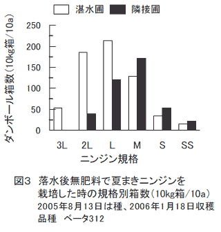 図3 落水後無肥料で夏まきニンジンを栽培した時の規格別箱数(10kg箱/10a)