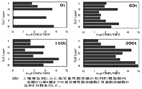 図2.土壌層位別にみた低栄養性脱窒菌の相対的増加傾向表層から第9層までの低栄養性脱窒菌数と普通脱窒菌数の比率を対数表示した。