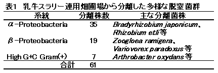 表1 乳牛スラリー連用畑圃場から分離した多様な脱窒菌群