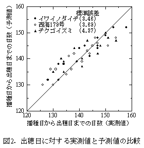 図2.出穂日に対する実測値と予測値の比較