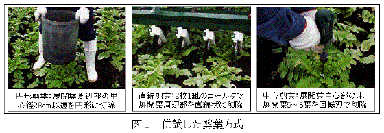 図1.供試した剪葉方式