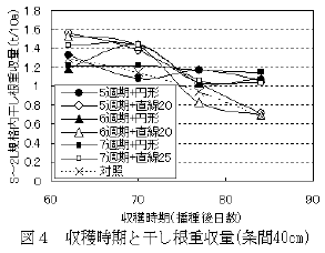 図4.収穫時期と干し根重収量