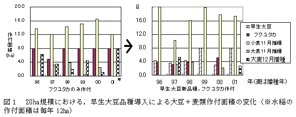 図1 20ha規模における,早生大豆品種導入による大豆+麦類作付面積の変化