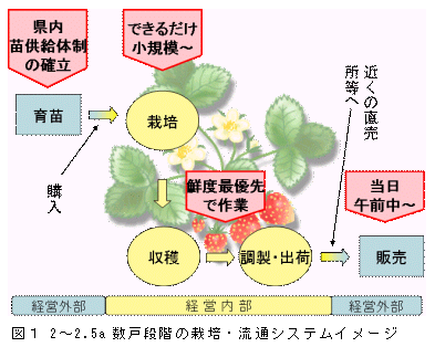 図1 2～2.5a 数戸段階の栽培・流通システムイメージ
