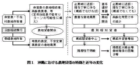 図1.沖縄における農地貸借の特徴と近年の変化